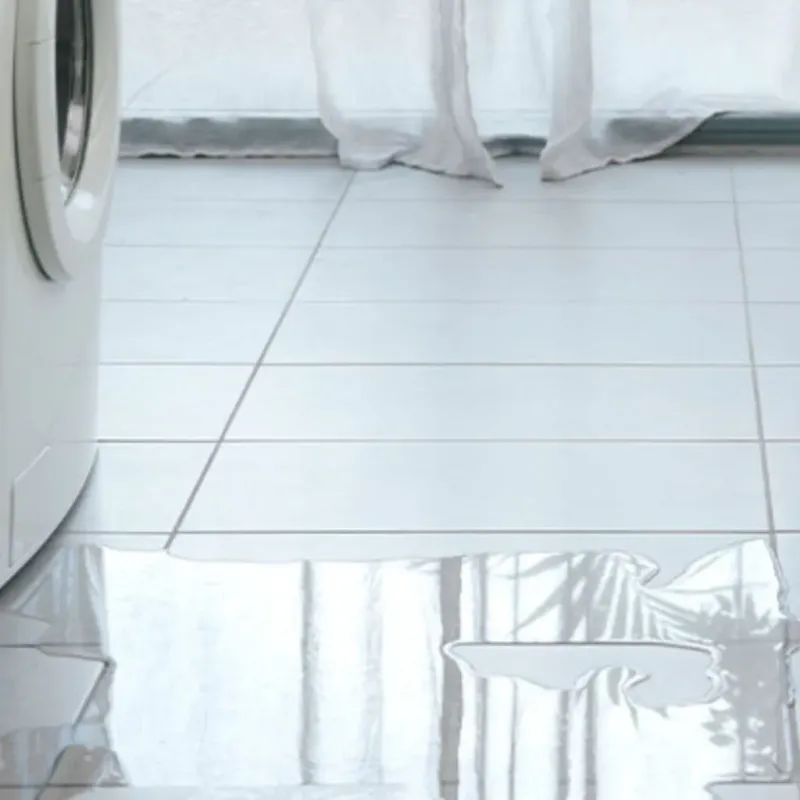 Appliance Leak Cleanup in Edwardsburg, MI
