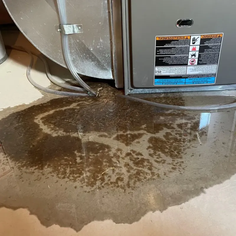 Pipe Burst and Leak Restoration in Edwardsburg, MI