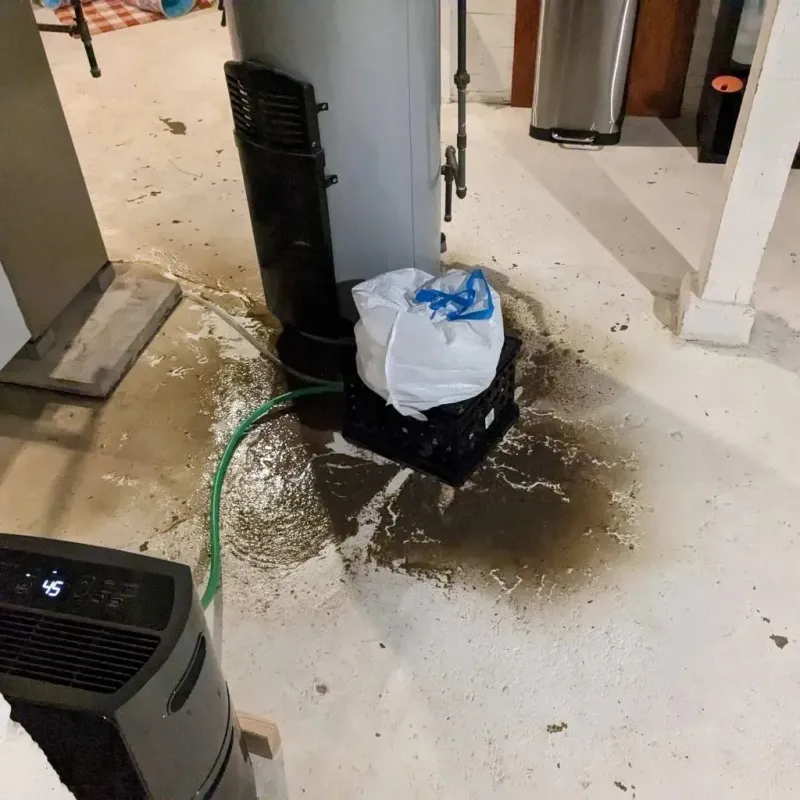 Sewage Backup Cleanup Service in Edwardsburg, MI